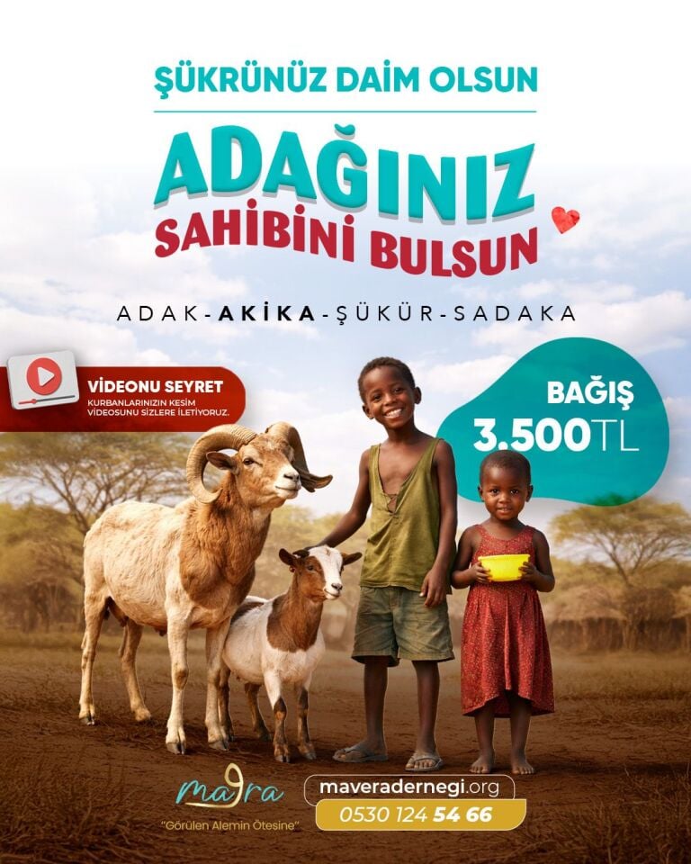 Afrika Küçükbaş Kurban