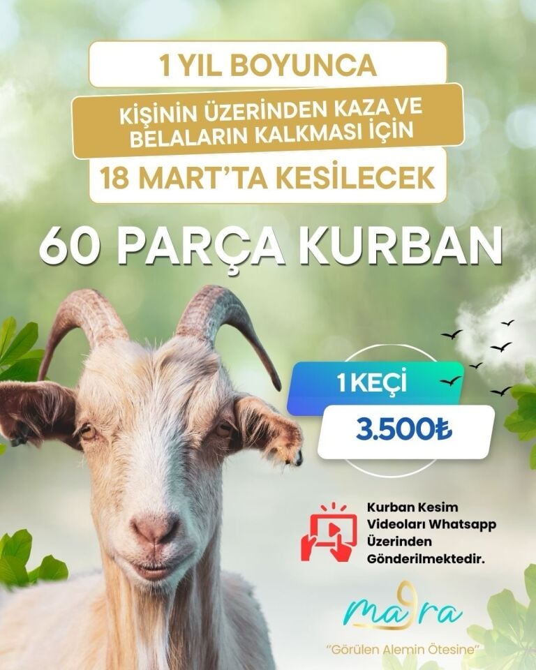 Afrika 60 Parça Küçükbaş Sadaka Kurbanı