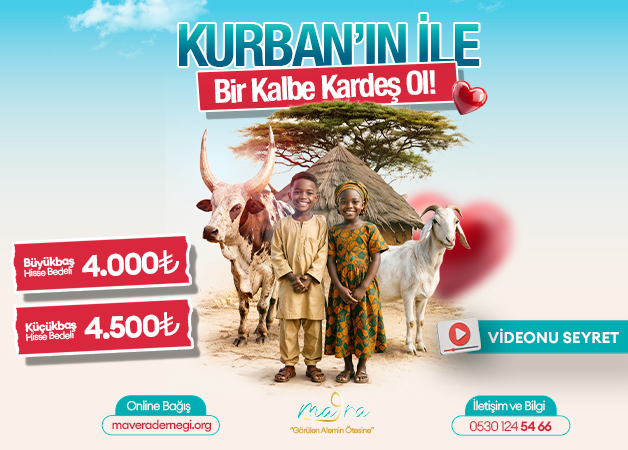 2026 Kurban Bayramı Büyükbaş Hisse